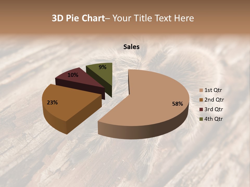 Close Up View Of A Chilean Rose Tarantula - Grammostola Rosea PowerPoint Template