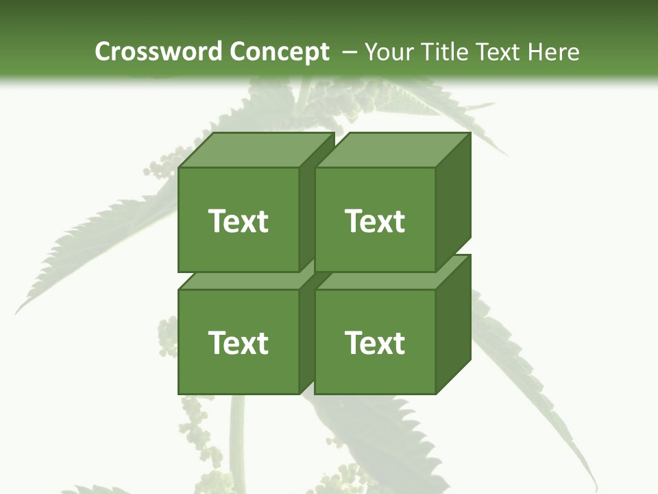 Fresh And Green Nettle Isolated On White Background - Series Herb PowerPoint Template