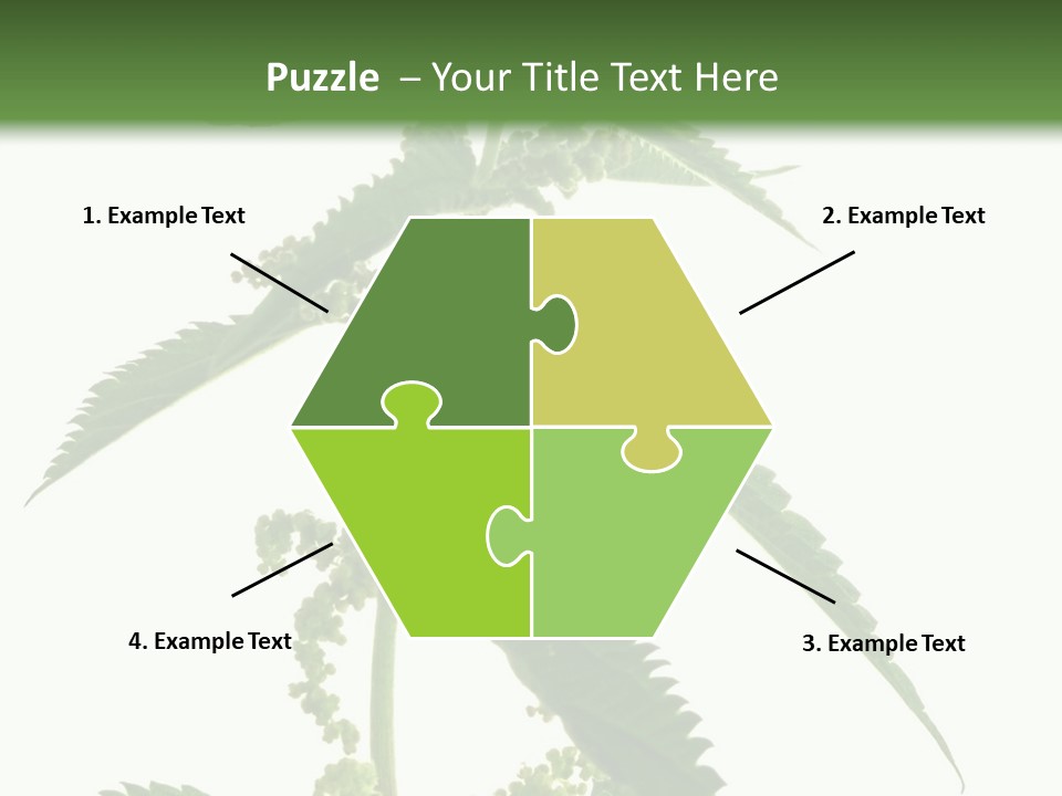 Fresh And Green Nettle Isolated On White Background - Series Herb PowerPoint Template