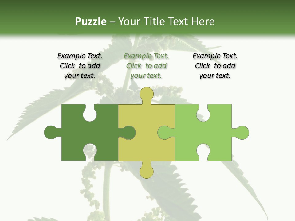 Fresh And Green Nettle Isolated On White Background - Series Herb PowerPoint Template