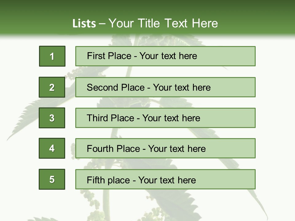 Fresh And Green Nettle Isolated On White Background - Series Herb PowerPoint Template