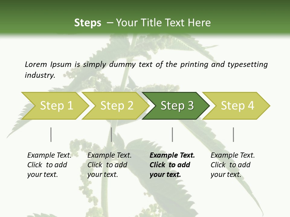Fresh And Green Nettle Isolated On White Background - Series Herb PowerPoint Template