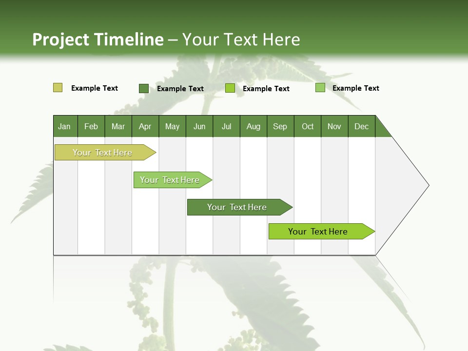 Fresh And Green Nettle Isolated On White Background - Series Herb PowerPoint Template