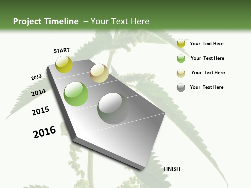 Fresh And Green Nettle Isolated On White Background - Series Herb PowerPoint Template