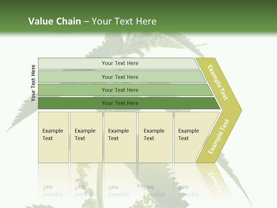 Fresh And Green Nettle Isolated On White Background - Series Herb PowerPoint Template