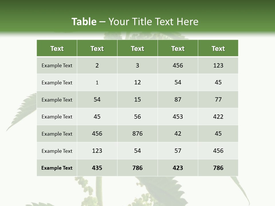 Fresh And Green Nettle Isolated On White Background - Series Herb PowerPoint Template