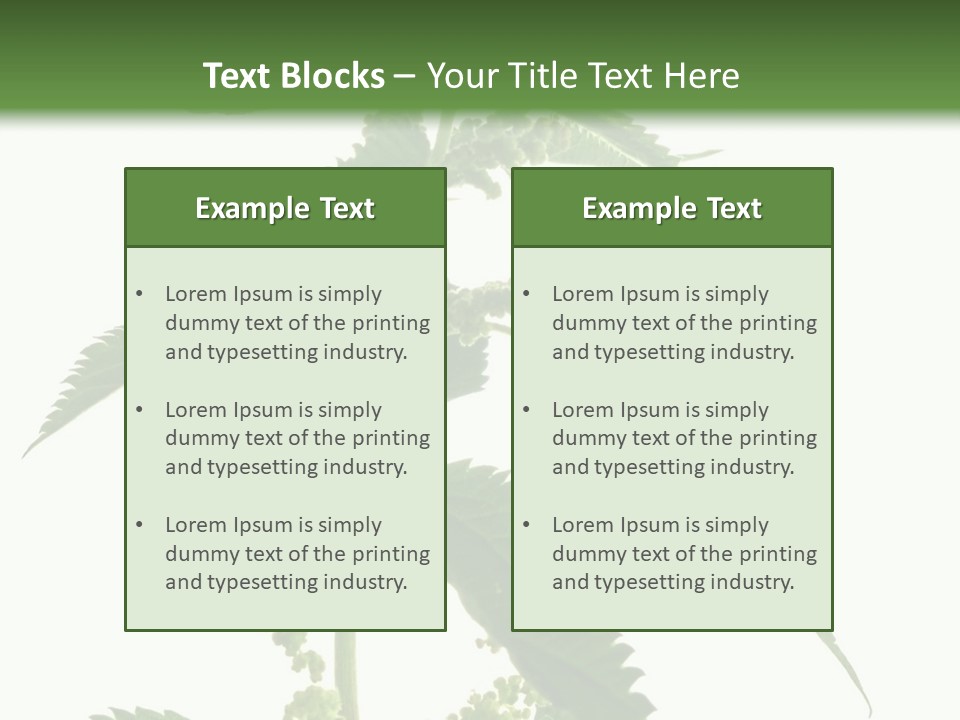 Fresh And Green Nettle Isolated On White Background - Series Herb PowerPoint Template