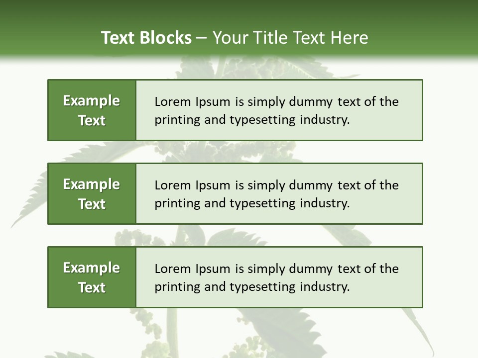 Fresh And Green Nettle Isolated On White Background - Series Herb PowerPoint Template