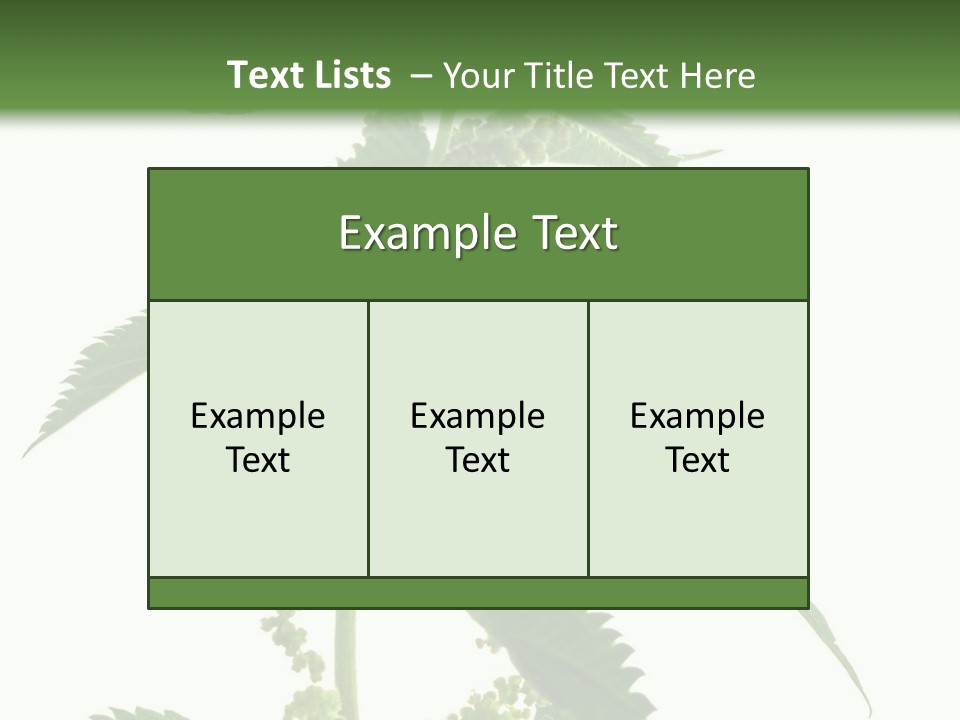 Fresh And Green Nettle Isolated On White Background - Series Herb PowerPoint Template