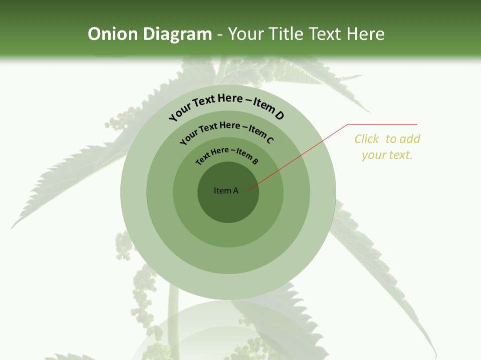 Fresh And Green Nettle Isolated On White Background - Series Herb PowerPoint Template