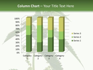 Fresh And Green Nettle Isolated On White Background - Series Herb PowerPoint Template