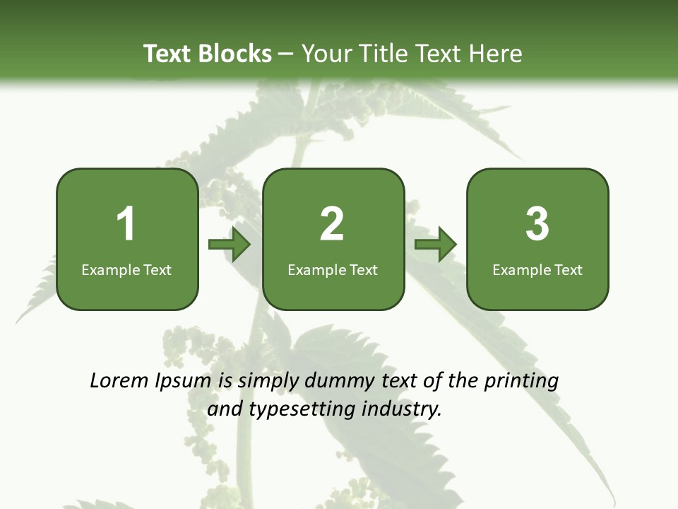 Fresh And Green Nettle Isolated On White Background - Series Herb PowerPoint Template