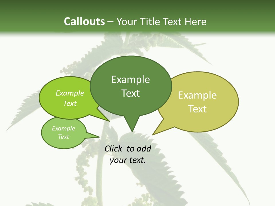 Fresh And Green Nettle Isolated On White Background - Series Herb PowerPoint Template