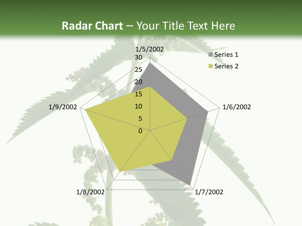Fresh And Green Nettle Isolated On White Background - Series Herb PowerPoint Template