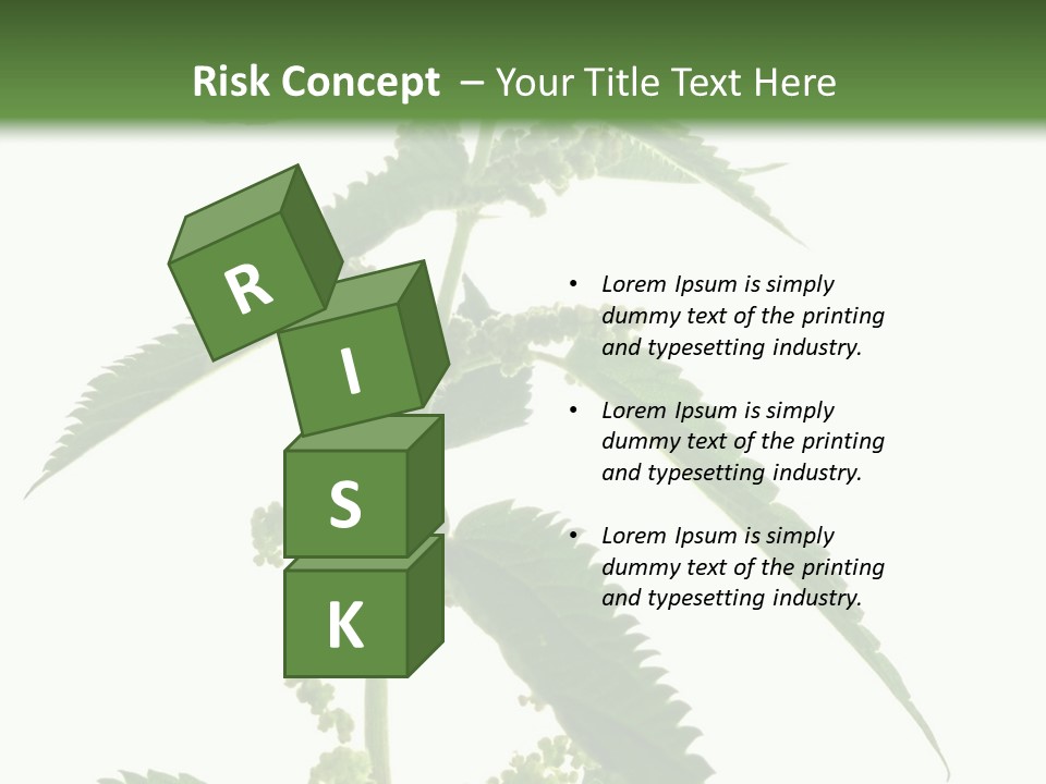 Fresh And Green Nettle Isolated On White Background - Series Herb PowerPoint Template