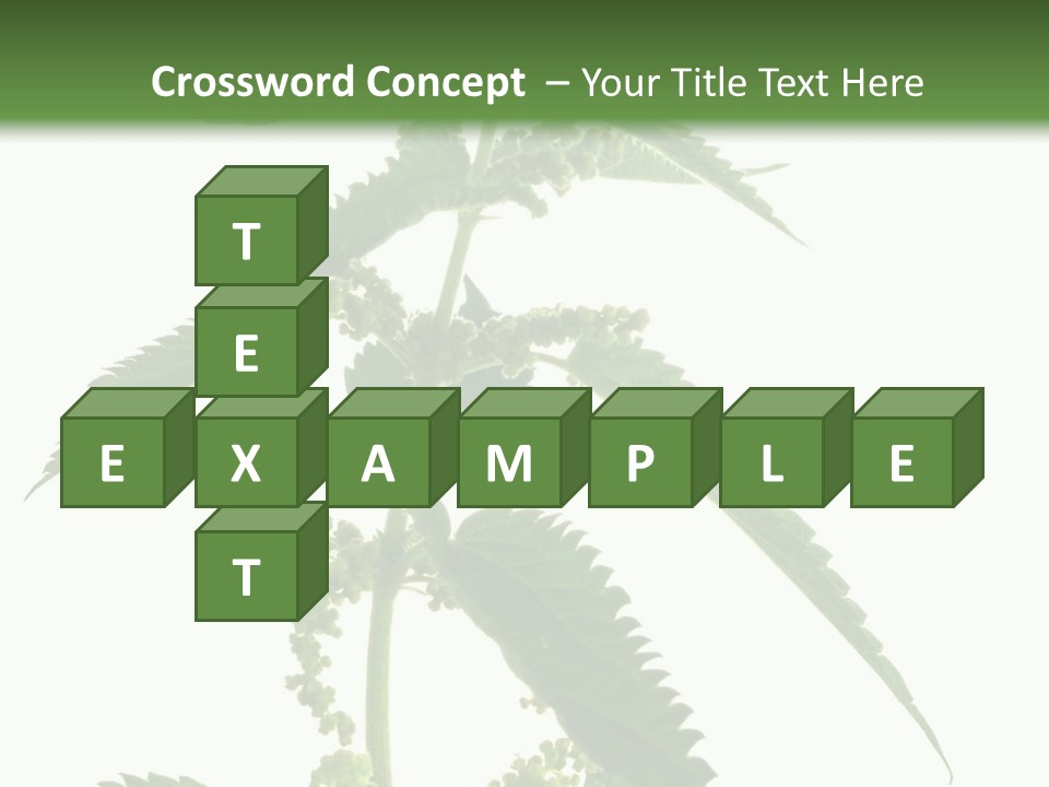 Fresh And Green Nettle Isolated On White Background - Series Herb PowerPoint Template