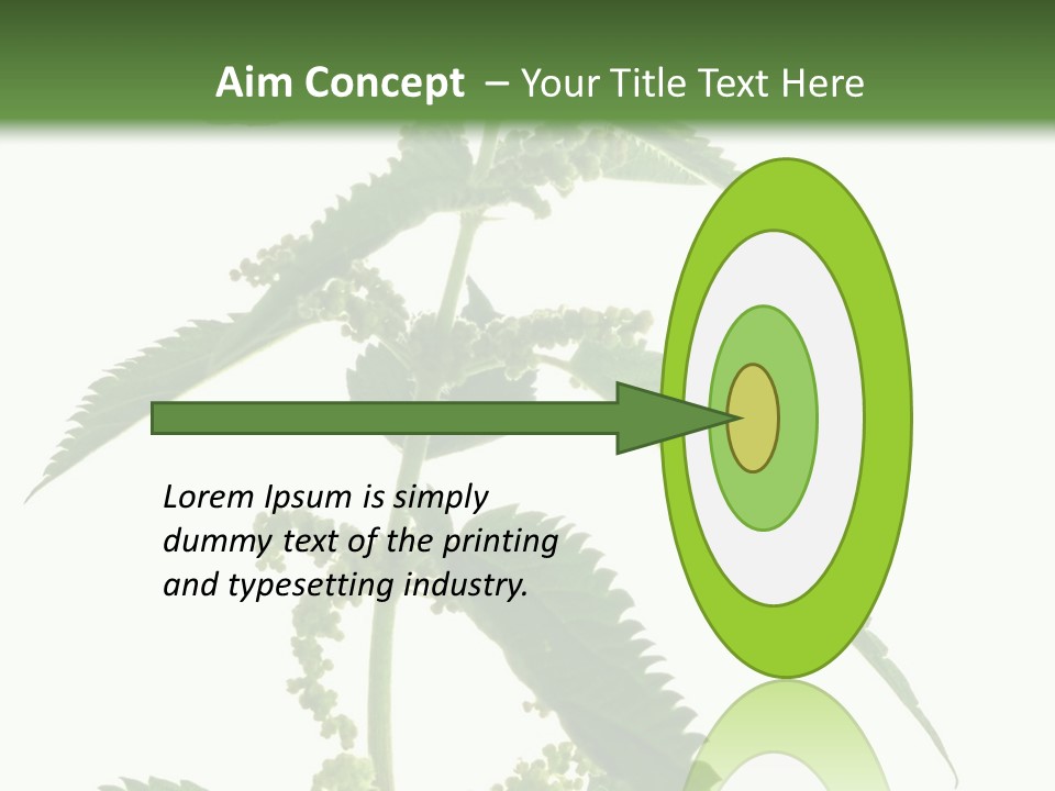 Fresh And Green Nettle Isolated On White Background - Series Herb PowerPoint Template