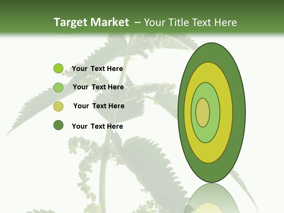Fresh And Green Nettle Isolated On White Background - Series Herb PowerPoint Template