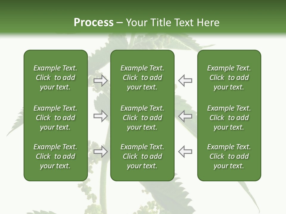 Fresh And Green Nettle Isolated On White Background - Series Herb PowerPoint Template