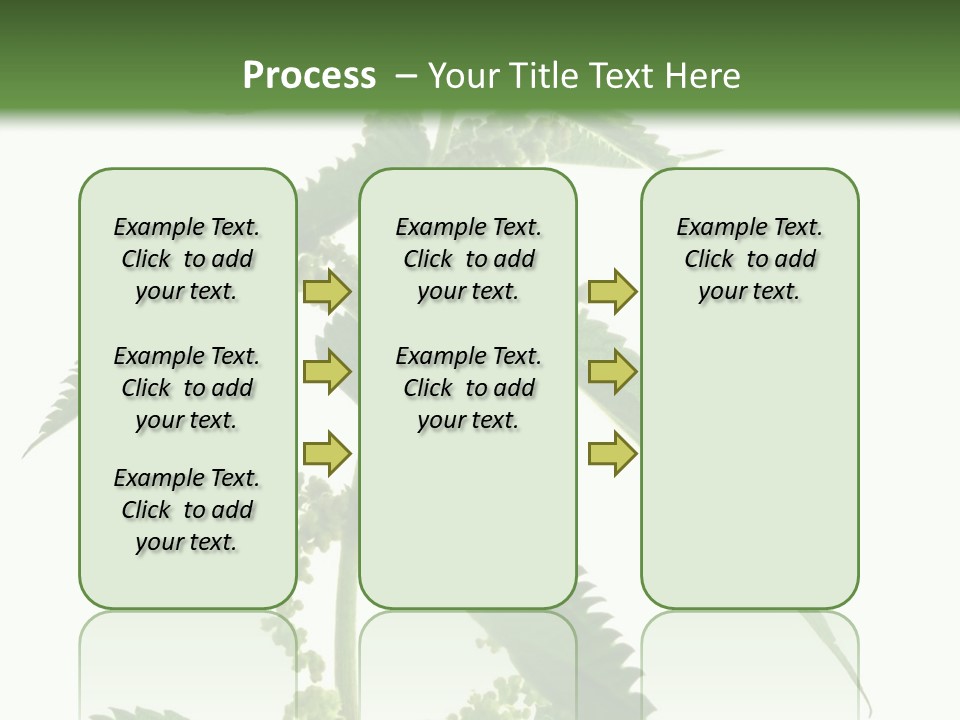 Fresh And Green Nettle Isolated On White Background - Series Herb PowerPoint Template