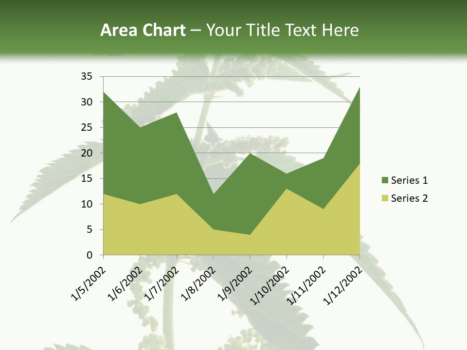 Fresh And Green Nettle Isolated On White Background - Series Herb PowerPoint Template