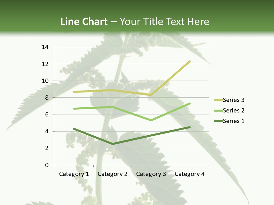 Fresh And Green Nettle Isolated On White Background - Series Herb PowerPoint Template