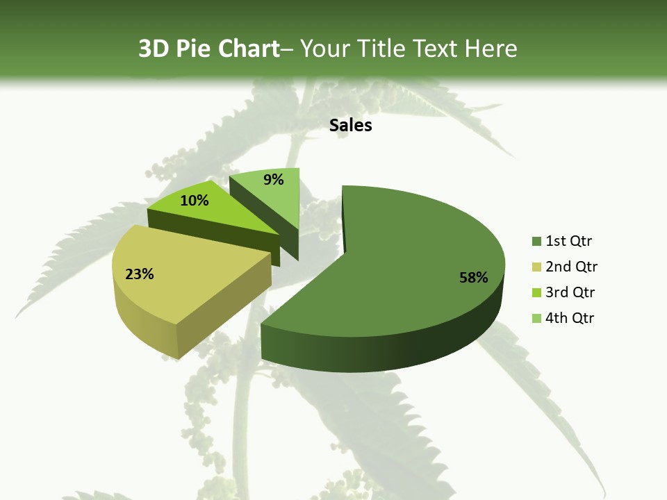 Fresh And Green Nettle Isolated On White Background - Series Herb PowerPoint Template