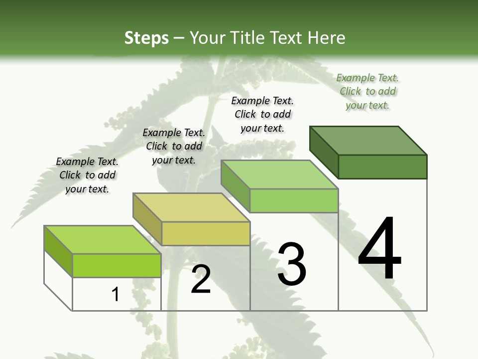 Fresh And Green Nettle Isolated On White Background - Series Herb PowerPoint Template