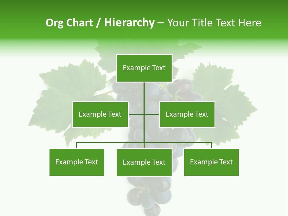 Blue Grape Cluster With Leaves PowerPoint Template