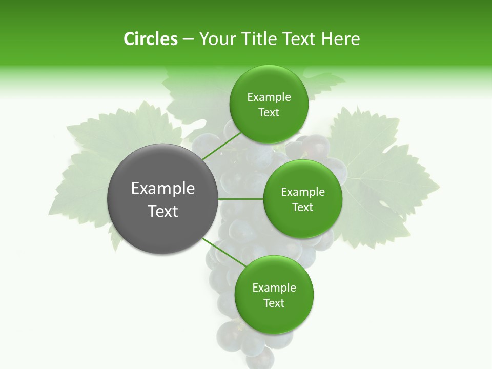 Blue Grape Cluster With Leaves PowerPoint Template