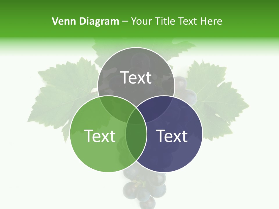 Blue Grape Cluster With Leaves PowerPoint Template