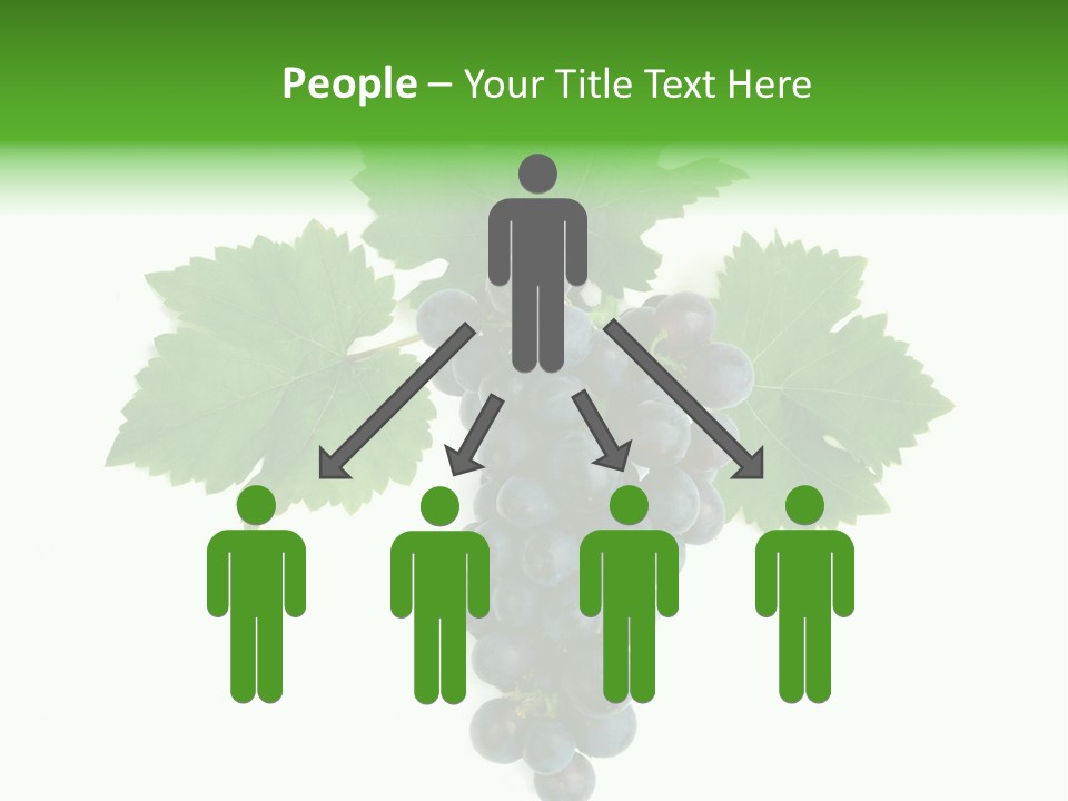 Blue Grape Cluster With Leaves PowerPoint Template