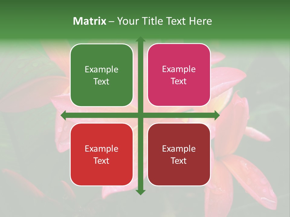 Plumeria Burst PowerPoint Template