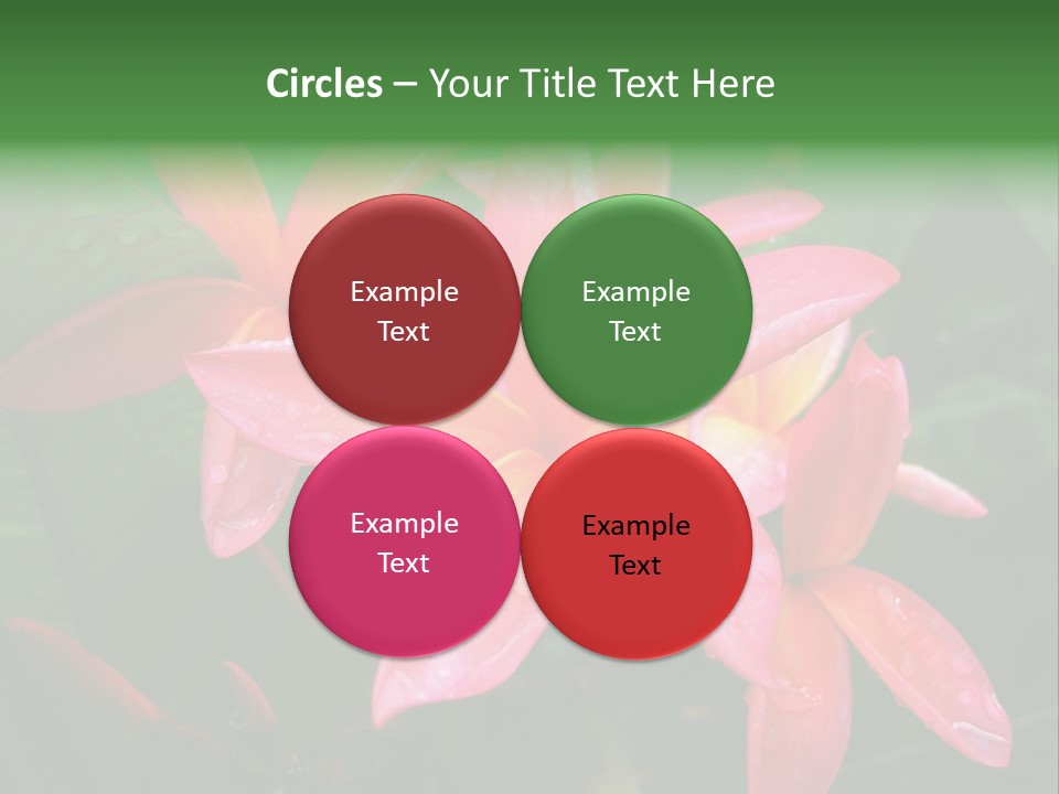 Plumeria Burst PowerPoint Template