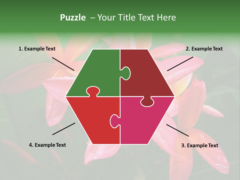 Plumeria Burst PowerPoint Template