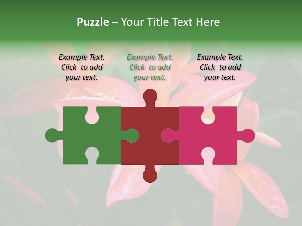 Plumeria Burst PowerPoint Template