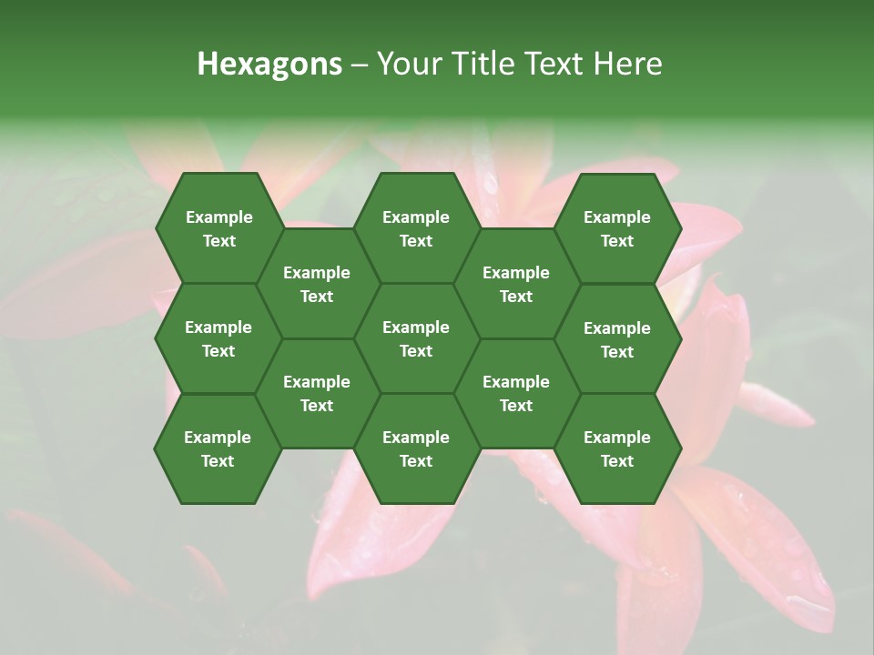 Plumeria Burst PowerPoint Template