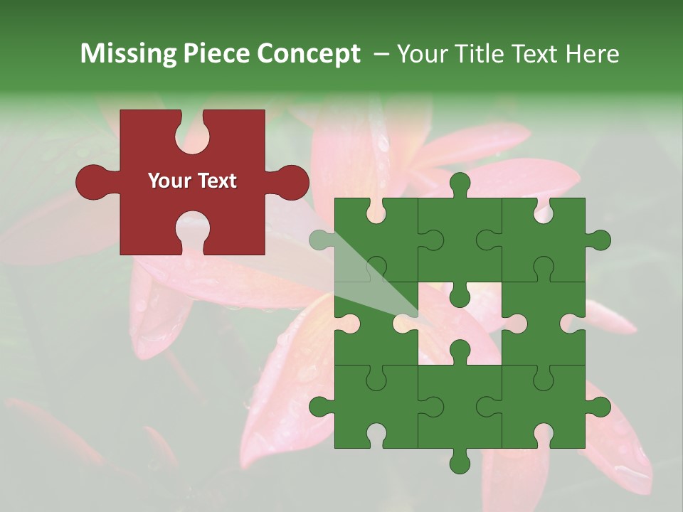 Plumeria Burst PowerPoint Template