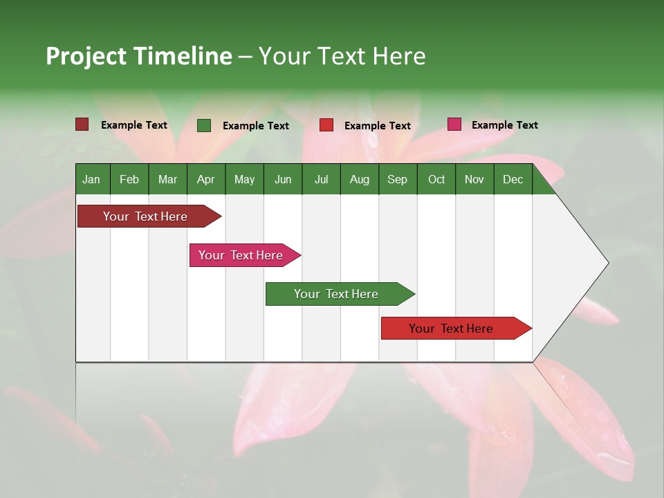 Plumeria Burst PowerPoint Template