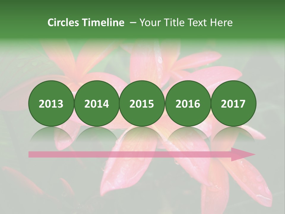 Plumeria Burst PowerPoint Template