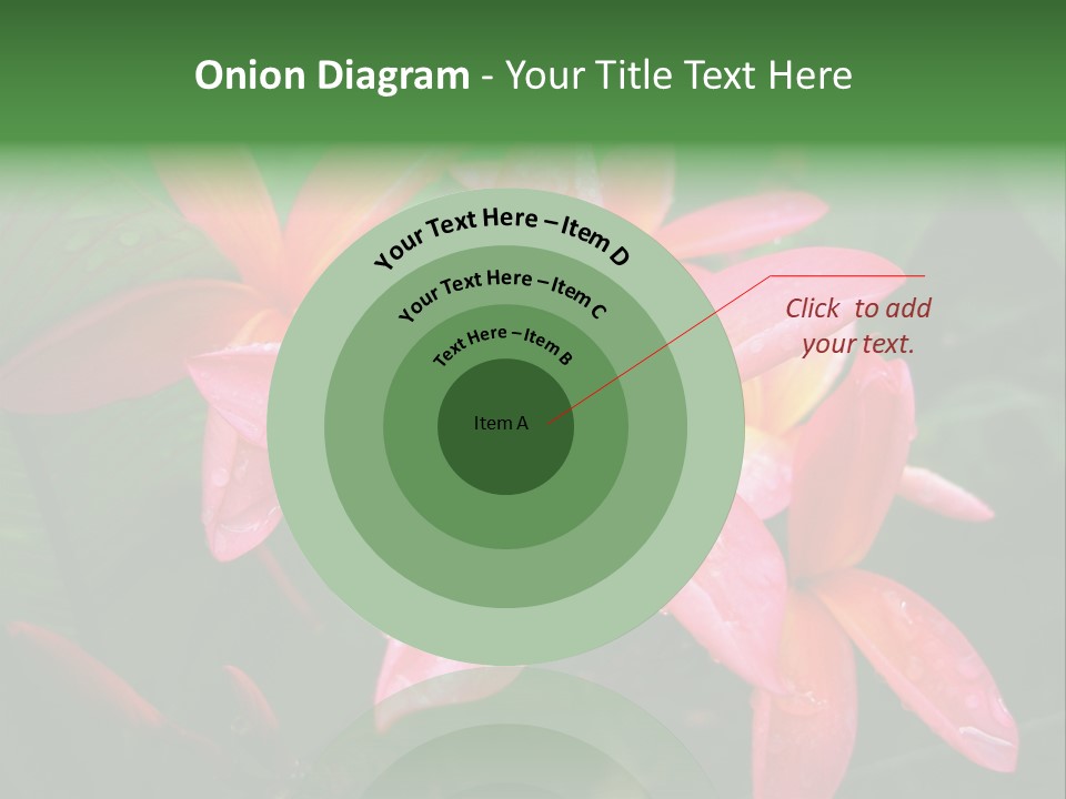 Plumeria Burst PowerPoint Template