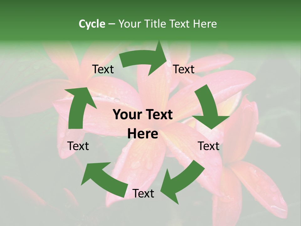 Plumeria Burst PowerPoint Template