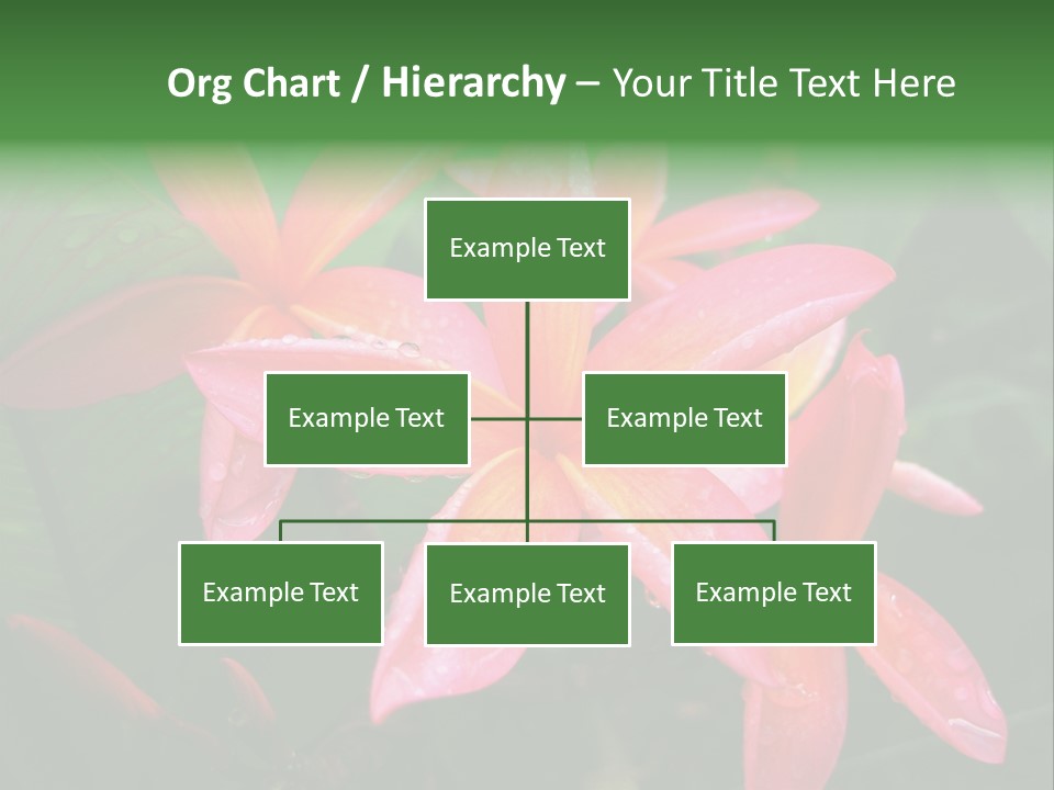 Plumeria Burst PowerPoint Template