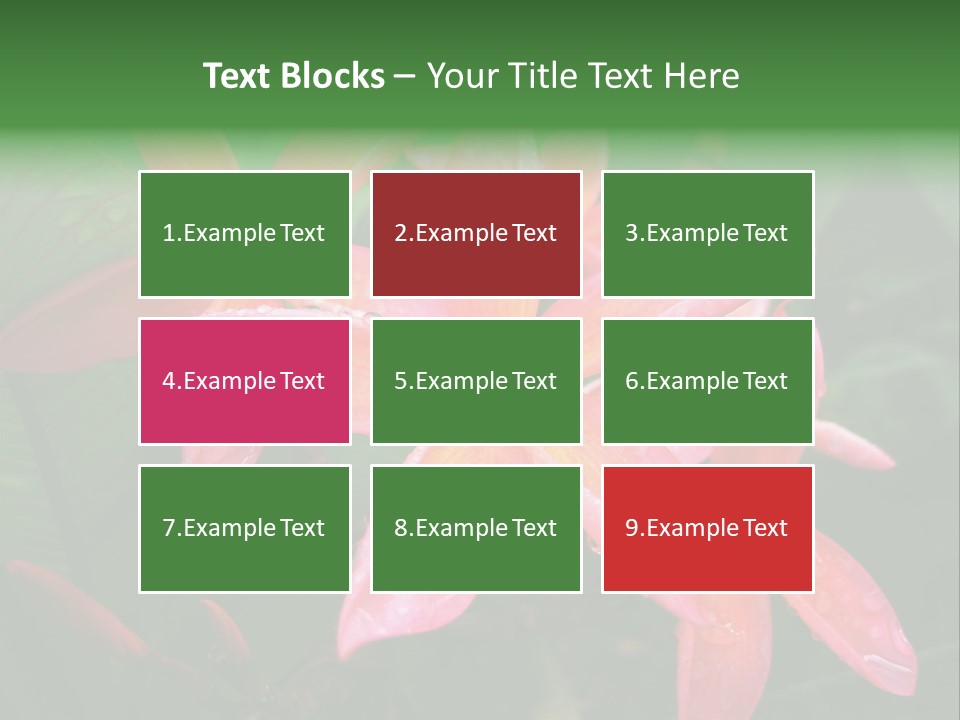 Plumeria Burst PowerPoint Template