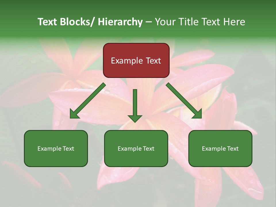 Plumeria Burst PowerPoint Template