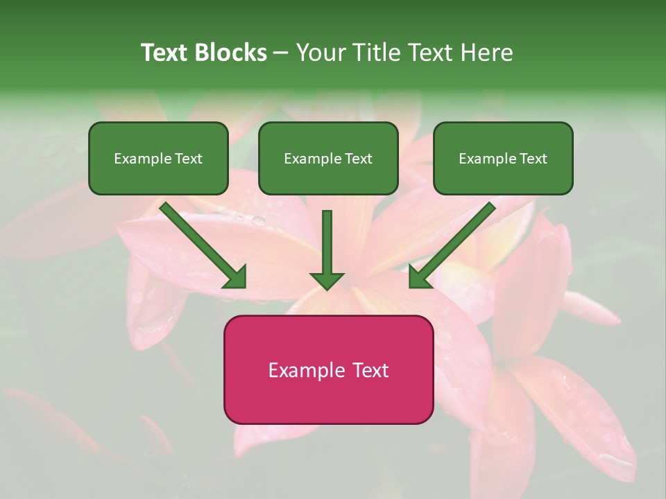 Plumeria Burst PowerPoint Template