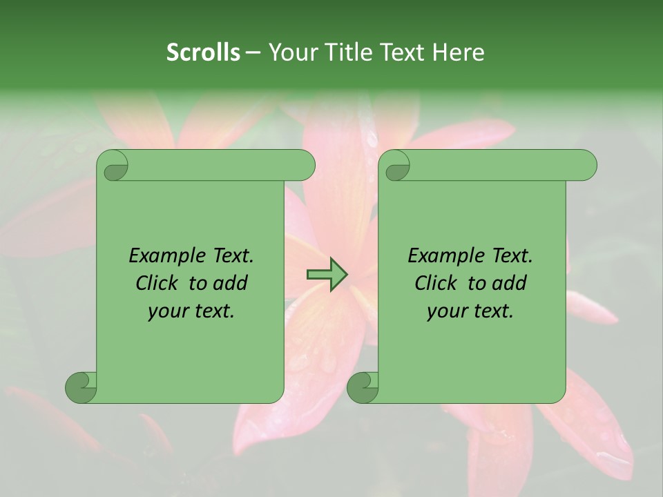 Plumeria Burst PowerPoint Template