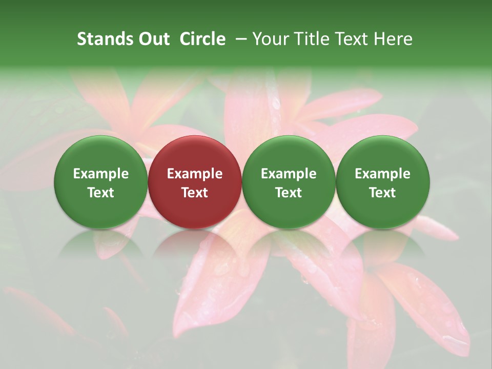 Plumeria Burst PowerPoint Template