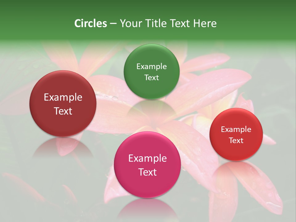 Plumeria Burst PowerPoint Template