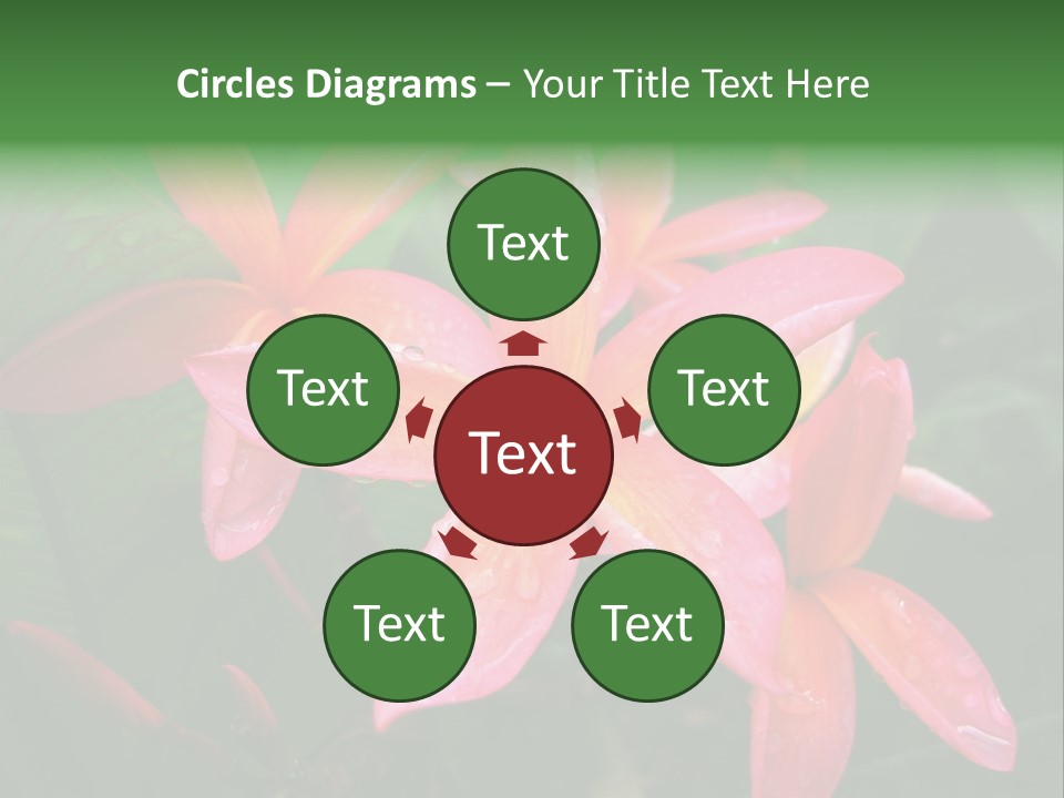 Plumeria Burst PowerPoint Template